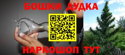 гидра Новозыбков