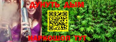 гидра Новозыбков