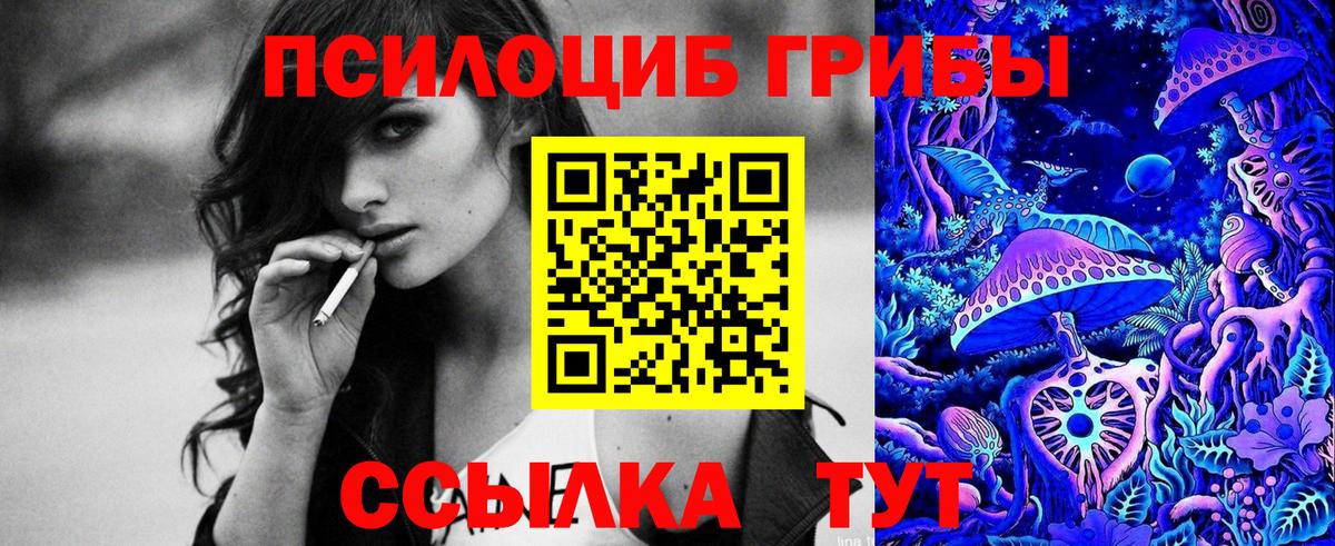 хочу наркоту  Псилоцибиновые грибы Magic Shrooms  Псилоцибиновые грибы мухоморы  Вход с VPN  Улан-Удэ 